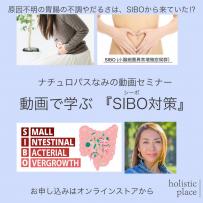 Online Seminar 『SIBO（シーボ・小腸内異常増殖症候群）対策』